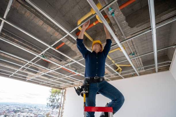 Best Local Plumber Services  in Pine Beach, NJ